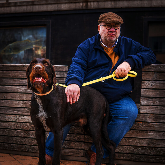 Why Is My Dog Limping? PetvBlog